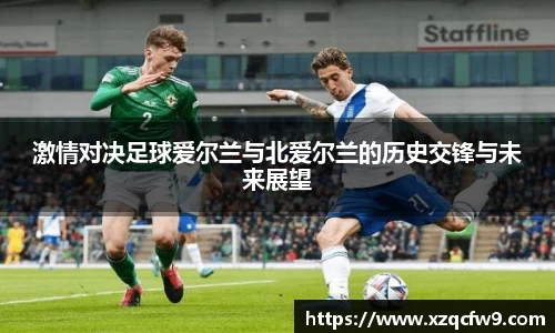 激情对决足球爱尔兰与北爱尔兰的历史交锋与未来展望